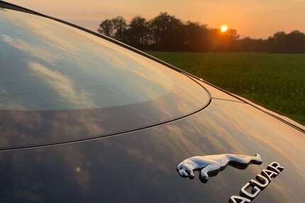 Jaguar F-Type 60.000 km 42.500 &euro; Recke 49509