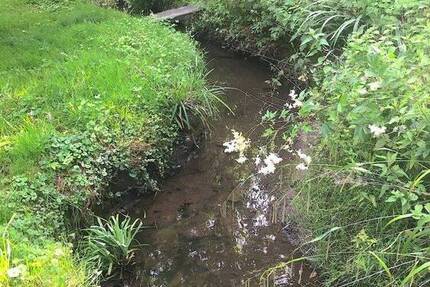 Haus Bad Essen / Wehrendorf Wehrendorf - 7 Zimmer, 124 m&sup2;, 120.000&euro; | Angebot:25676906