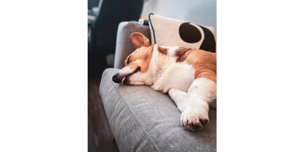 Einfamilienhaus Osnabrück Hellern - 5 Zimmer, 136 m&sup2;, 1.700&euro; | Angebot:24653460