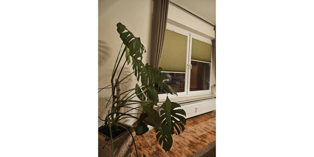 Maisonettenwohnung Bad Essen - 5 Zimmer, 120 m&sup2;, 1.000&euro; | Angebot:25378913