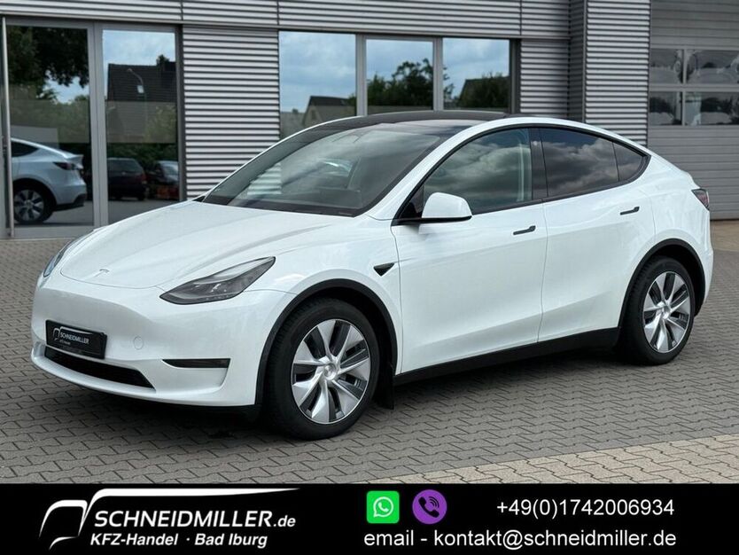 Model Y
