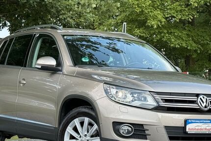 VW Tiguan 175.000 km 9.499 &euro; Ibbenbüren 49479