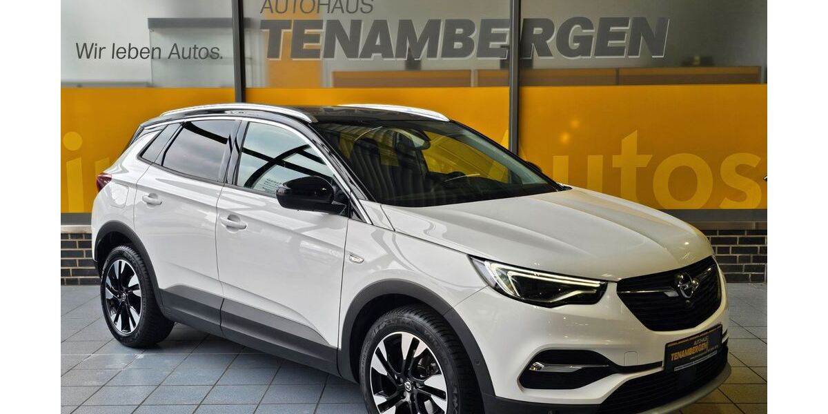 Opel Grandland (X) 36.300 km 21.900 &euro; Mettingen 49497