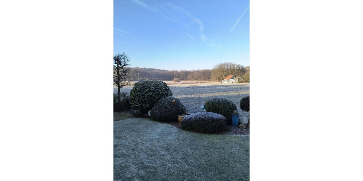 Etagenwohnung Hagen am Teutoburger Wald - 4 Zimmer, 130 m&sup2;, 890&euro; | Angebot:24588108