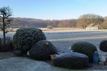 Wohnung Hagen am Teutoburger Wald - 4 Zimmer, 130 m&sup2;, 890&euro; | Angebot:24588108