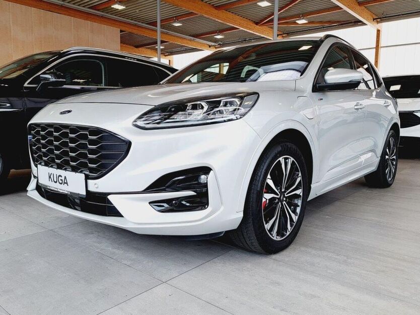 Kuga