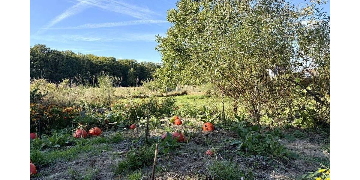 Grundstück Osnabrück Eversburg - 499.000&euro; | Angebot:25673332