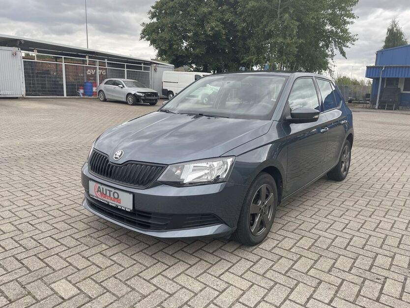 Skoda Fabia 102.000 km 6.890 € Georgsmarienhütte 49124