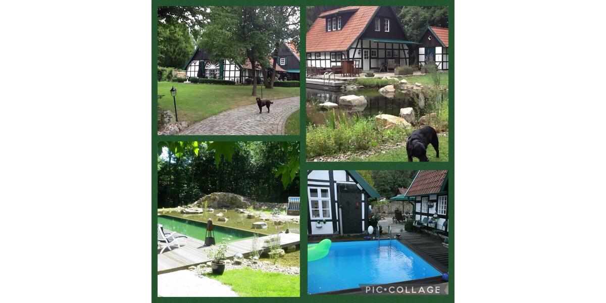 Einfamilienhaus Westerkappeln - 6 Zimmer, 360 m&sup2;, 1.249.000&euro; | Angebot:26615014