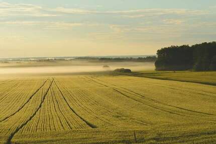 Grundstück zu verkaufen in Tecklenburg 499.000 € 52947 m² zimmer