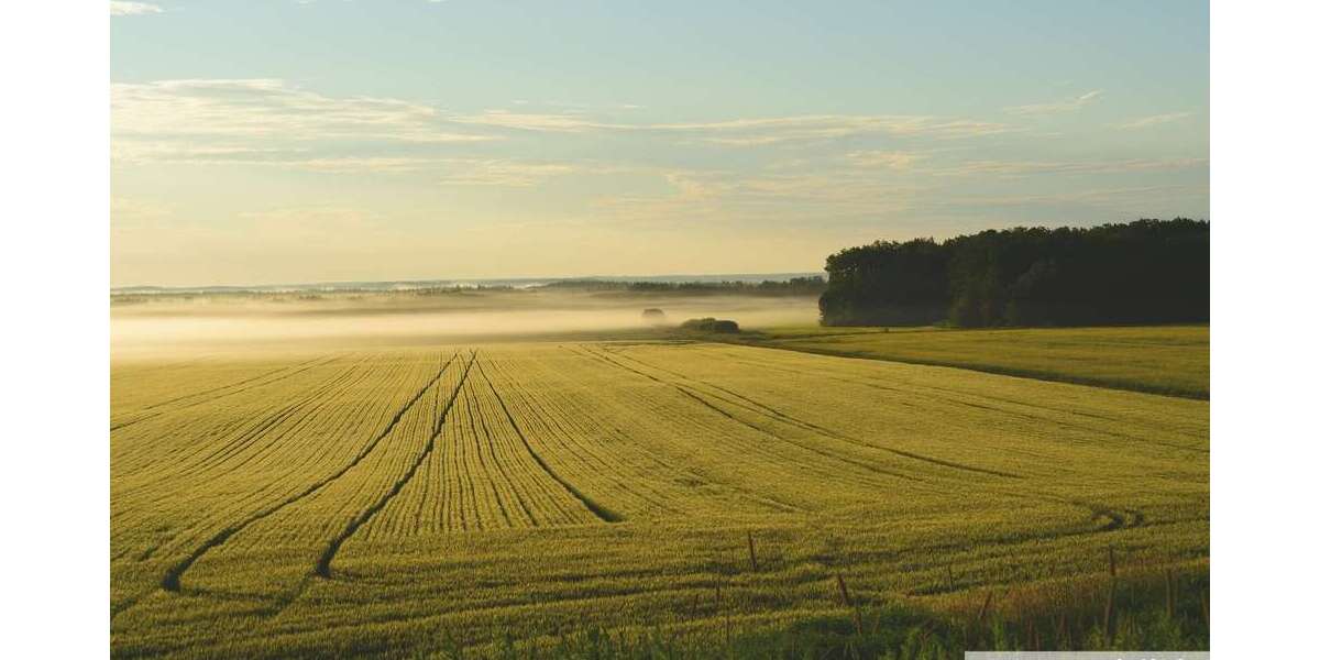 Grundstück zu verkaufen in Tecklenburg 499.000 € 52947 m² zimmer