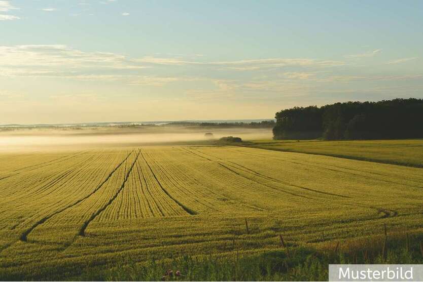 Grundstück zu verkaufen in Tecklenburg 499.000 € 52947 m² zimmer