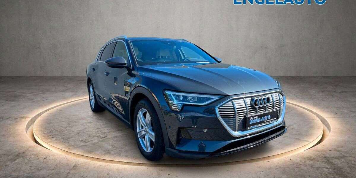 Audi e-tron 112.500 km 25.830 &euro; Bramsche-Engter 49565