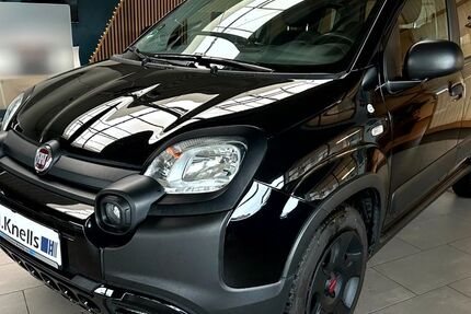 Fiat Panda 53.400 km 9.950 &euro; Ibbenbüren - Laggenbeck 49479