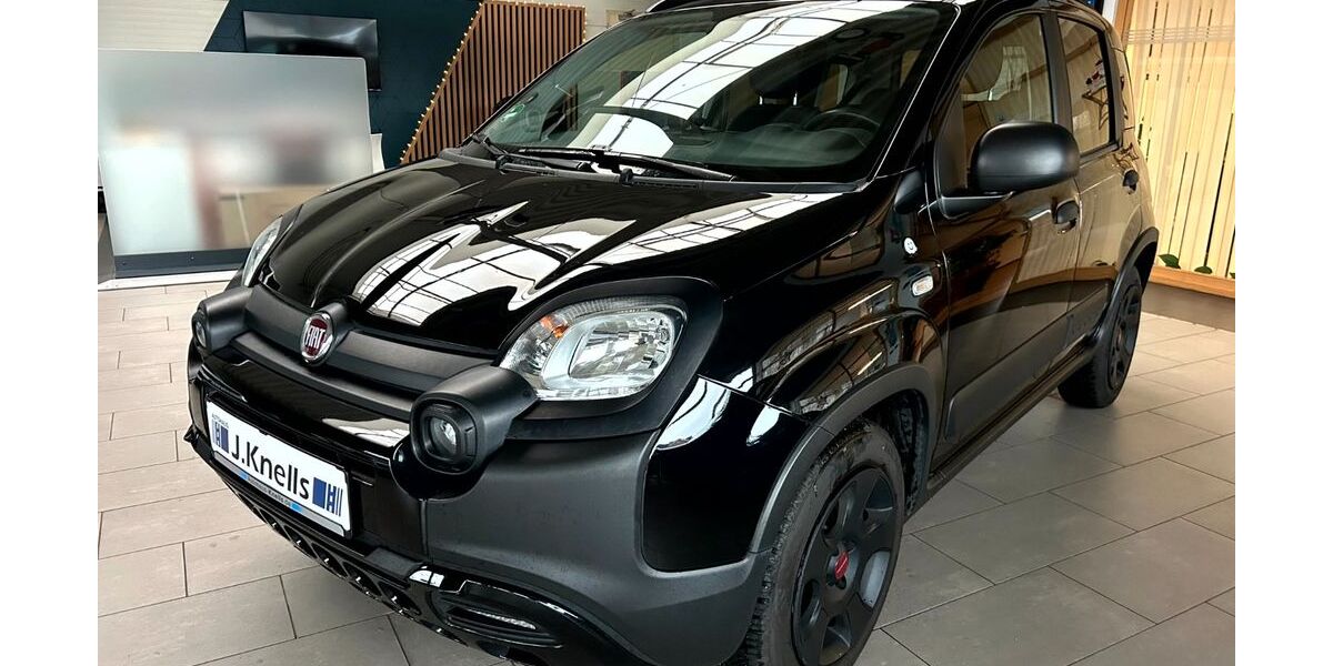 Fiat Panda 53.400 km 9.950 &euro; Ibbenbüren - Laggenbeck 49479