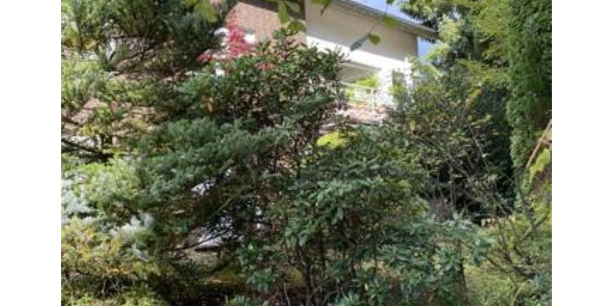 Mehrfamilienhaus, Wohnhaus Bad Iburg - 10 Zimmer, 285 m&sup2;, 590.000&euro; | Angebot:25857493