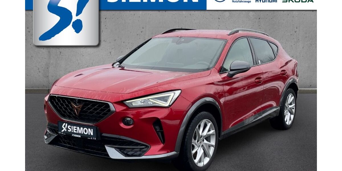 Cupra Formentor 79.523 km 22.880 &euro; Lengerich 49525