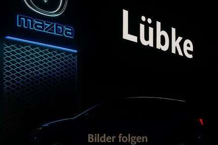 Mazda 2 38.952 km 17.890 &euro; Lengerich 49525