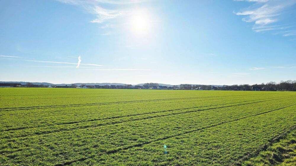 Einfamilienhaus Bad Essen Wimmer - 8 Zimmer, 216 m&sup2;, 379.000&euro; | Angebot:25773101