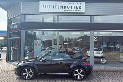 VW Beetle