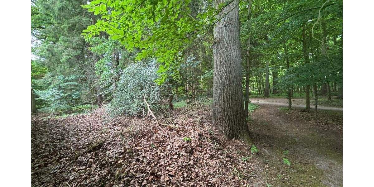 Doppelhaushälfte mit 2 Wohneinheiten in Osnabrück-Eversburg 9 zimmer