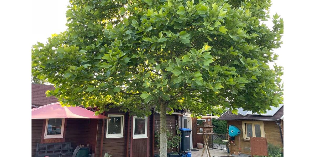 Einfamilienhaus Versmold - 75.000&euro; | Angebot:26167206