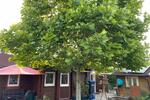 Einfamilienhaus Versmold - 75.000&euro; | Angebot:26167206