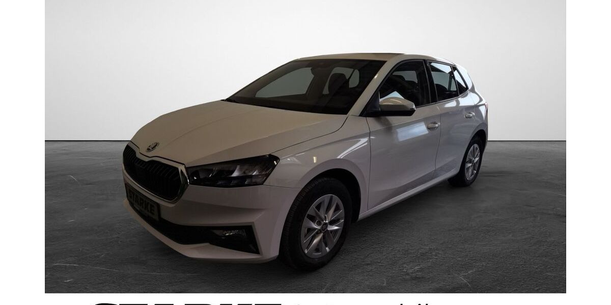 Skoda Fabia 10.388 km 17.550 &euro; Georgsmarienhütte 49124