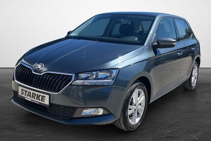 Skoda Fabia 49.700 km 13.430 &euro; Georgsmarienhütte (Osnabrück) 49124