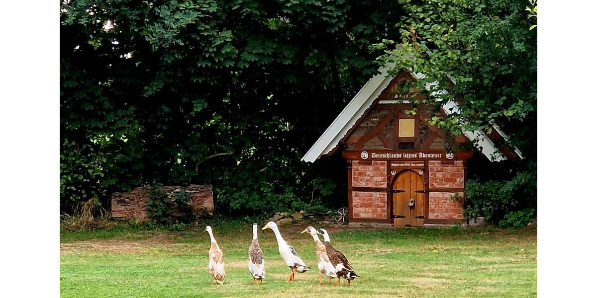 Bauernhof, Resthof 8 zimmer
