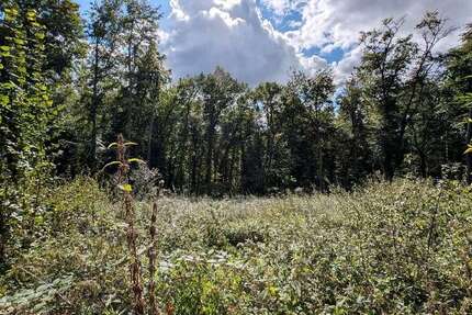 Grundstück zu verkaufen in Bissendorf 180.000 € 2913 m² zimmer