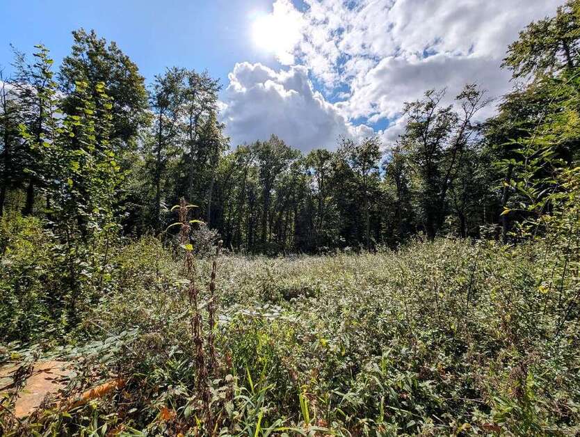 Grundstück zu verkaufen in Bissendorf 180.000 € 2913 m² zimmer