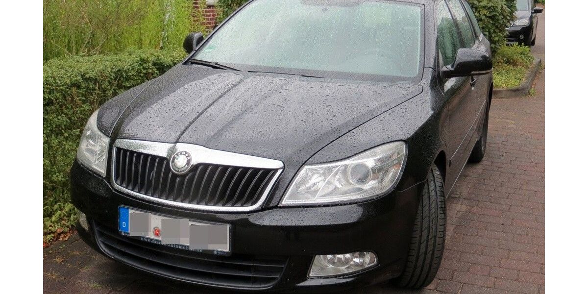 Skoda Octavia 307.104 km 3.100 &euro; Bad Rothenfelde 49214