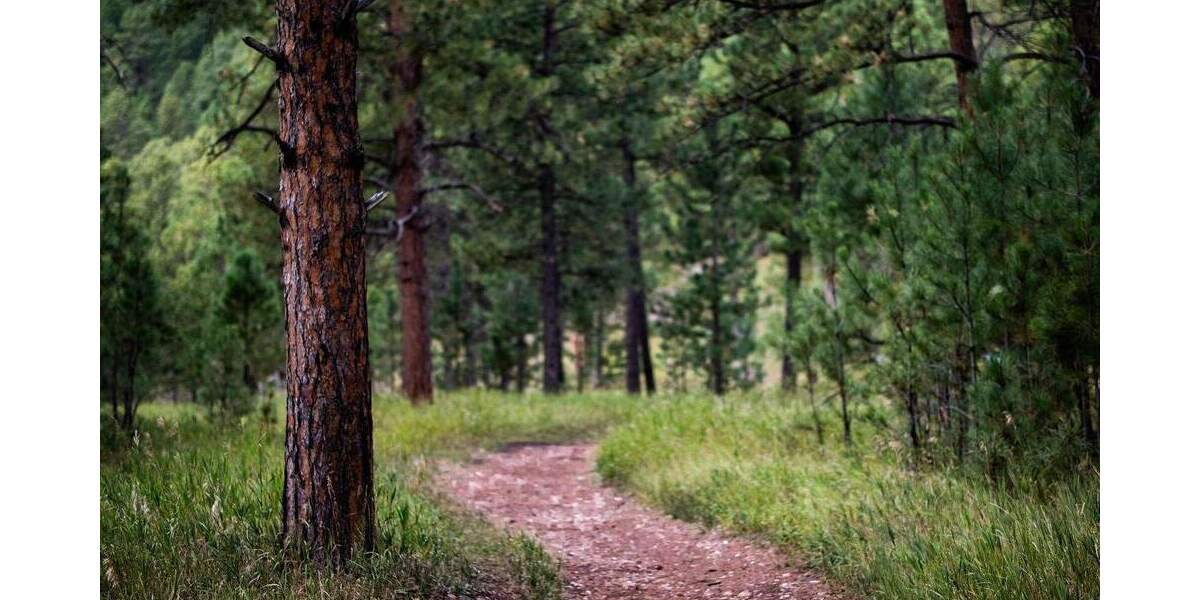 Objekt Nr. G 0206 Provisionsfrei! Vielseitig nutzbare Naturfläche in Westerkappeln zu verkaufen zimmer