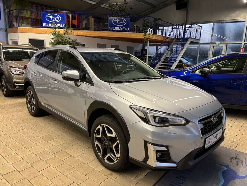 XV