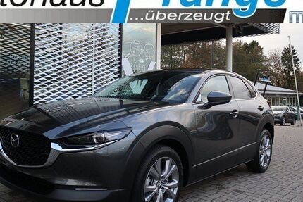 Mazda CX-30 1.781 km 28.485 &euro; Hilter 49176