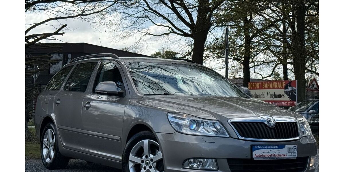 Skoda Octavia 220.000 km 4.599 &euro; Ibbenbüren 49479