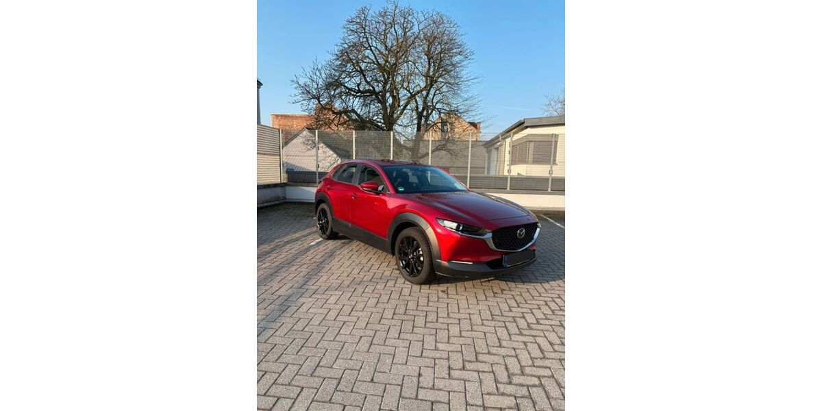Mazda CX-30 30.500 km 21.500 &euro; Belm 49191