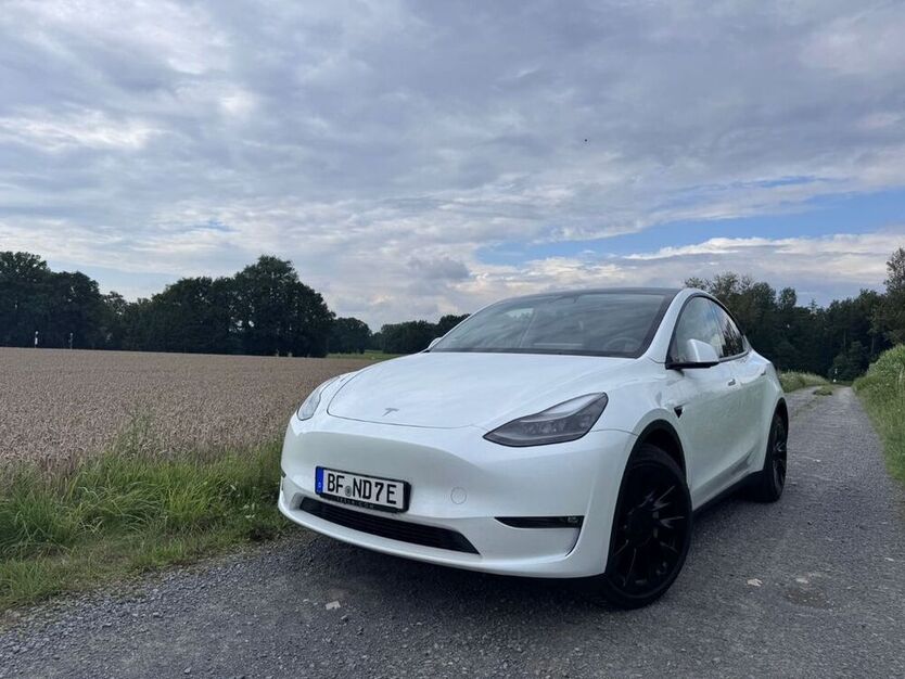 Model Y