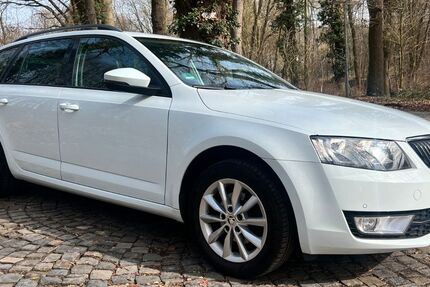 Skoda Octavia 295.000 km 6.990 &euro; Osnabrück 49074