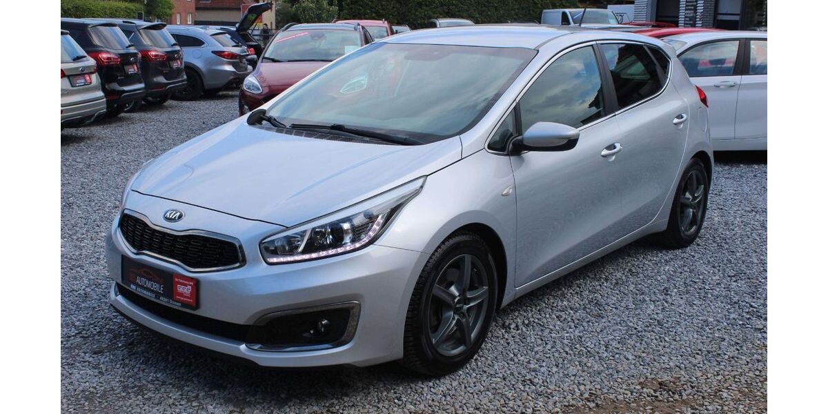 Kia ceed / Ceed 100.000 km 8.890 &euro; Dissen 49201
