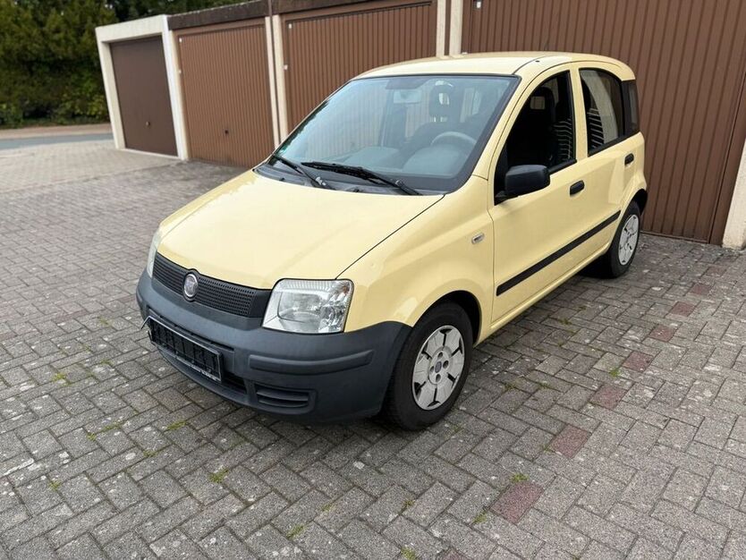 Panda