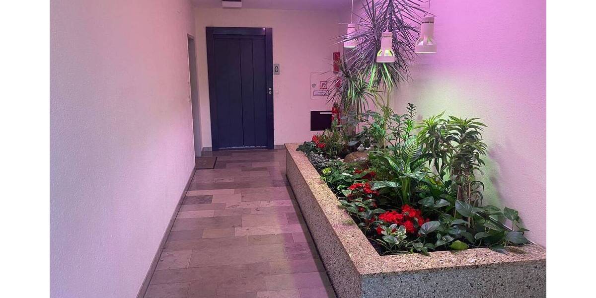 Etagenwohnung Osnabrück Weststadt - 3 Zimmer, 90 m&sup2;, 207.000&euro; | Angebot:26641580
