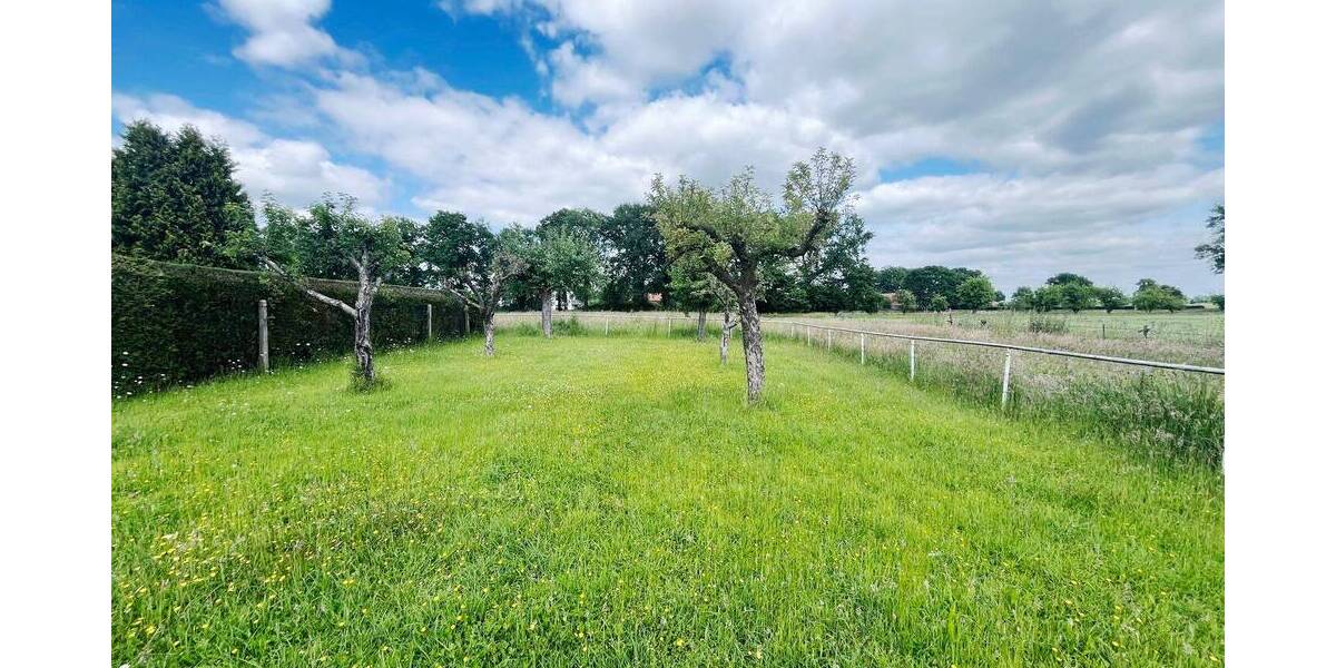 Einfamilienhaus Mettingen Querenberg - 7 Zimmer, 220 m&sup2;, 599.000&euro; | Angebot:25688493