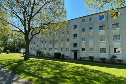 Wohnung Osnabrück Fledder - 3 Zimmer, 64 m&sup2;, 1.200&euro; | Angebot:27579594