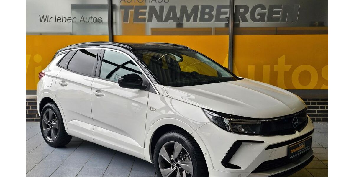 Opel Grandland (X) 8.350 km 25.500 &euro; Mettingen 49497