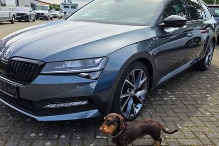 Skoda Superb 79.600 km 22.980 &euro; Recke 49509
