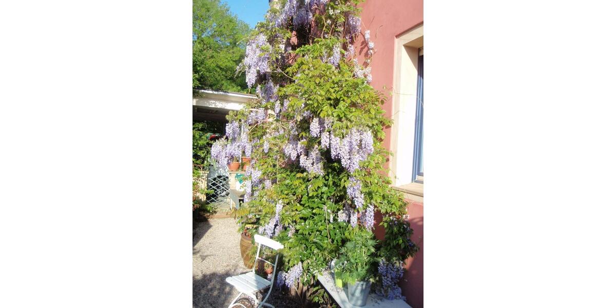 Erdgeschoßwohnung Osnabrück Hafen - 4 Zimmer, 110 m&sup2;, 1.540&euro; | Angebot:25865593