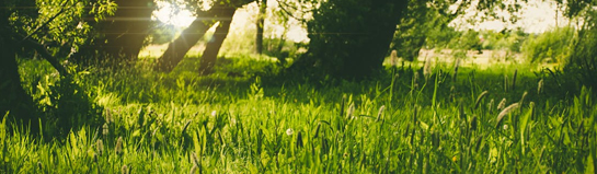 Teutoburger Wald Osnabrück