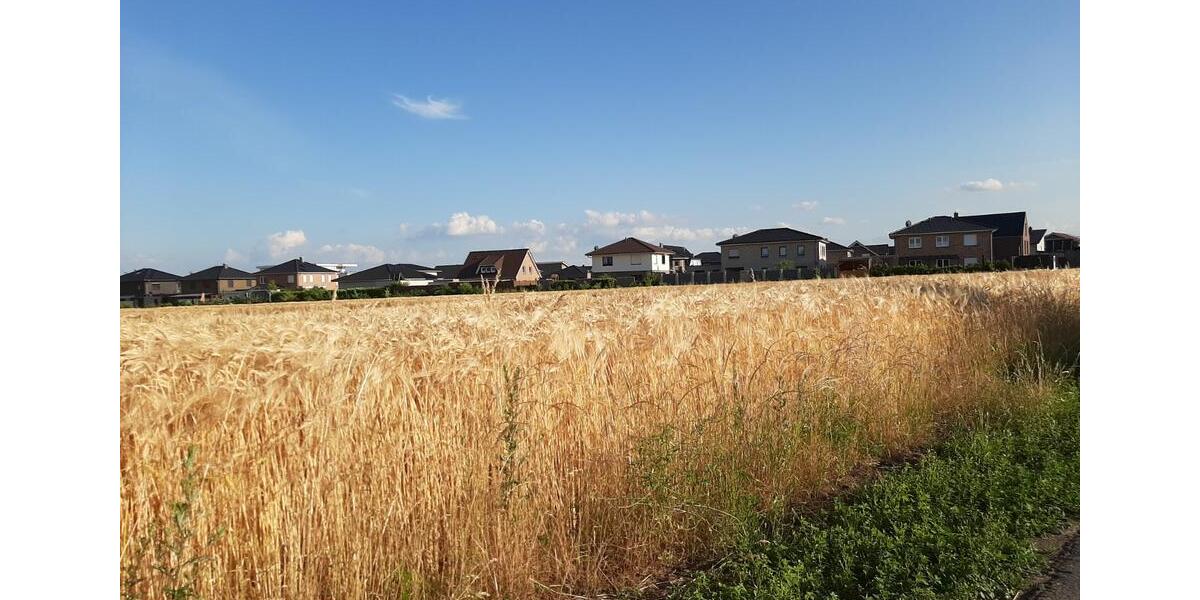 Erdgeschoßwohnung Damme - 2 Zimmer, 42 m&sup2;, 500&euro; | Angebot:24651117